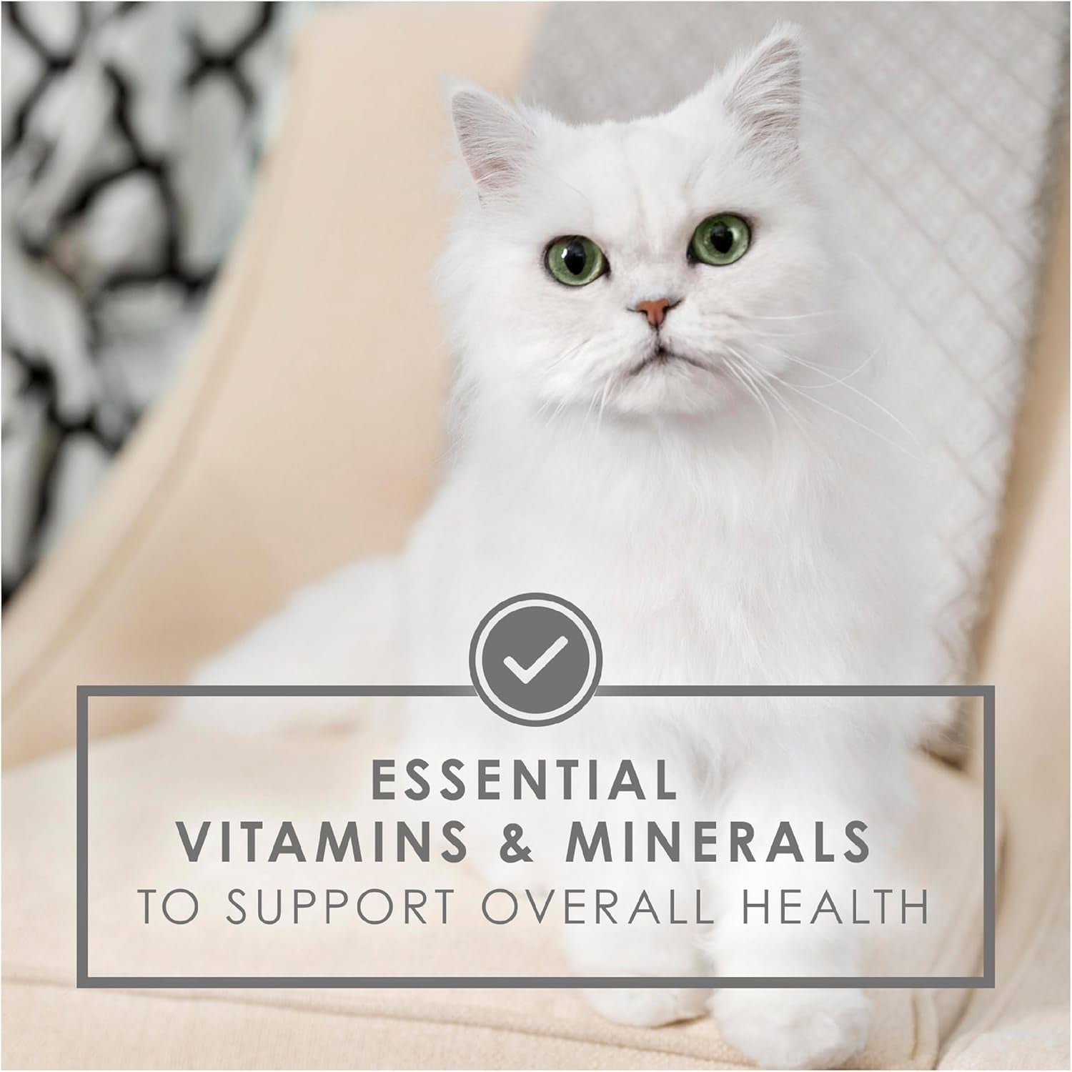 FANCY FEAST Adult Wet Cat Food Classic Poultry & Beef Grilled Collection 24X85G